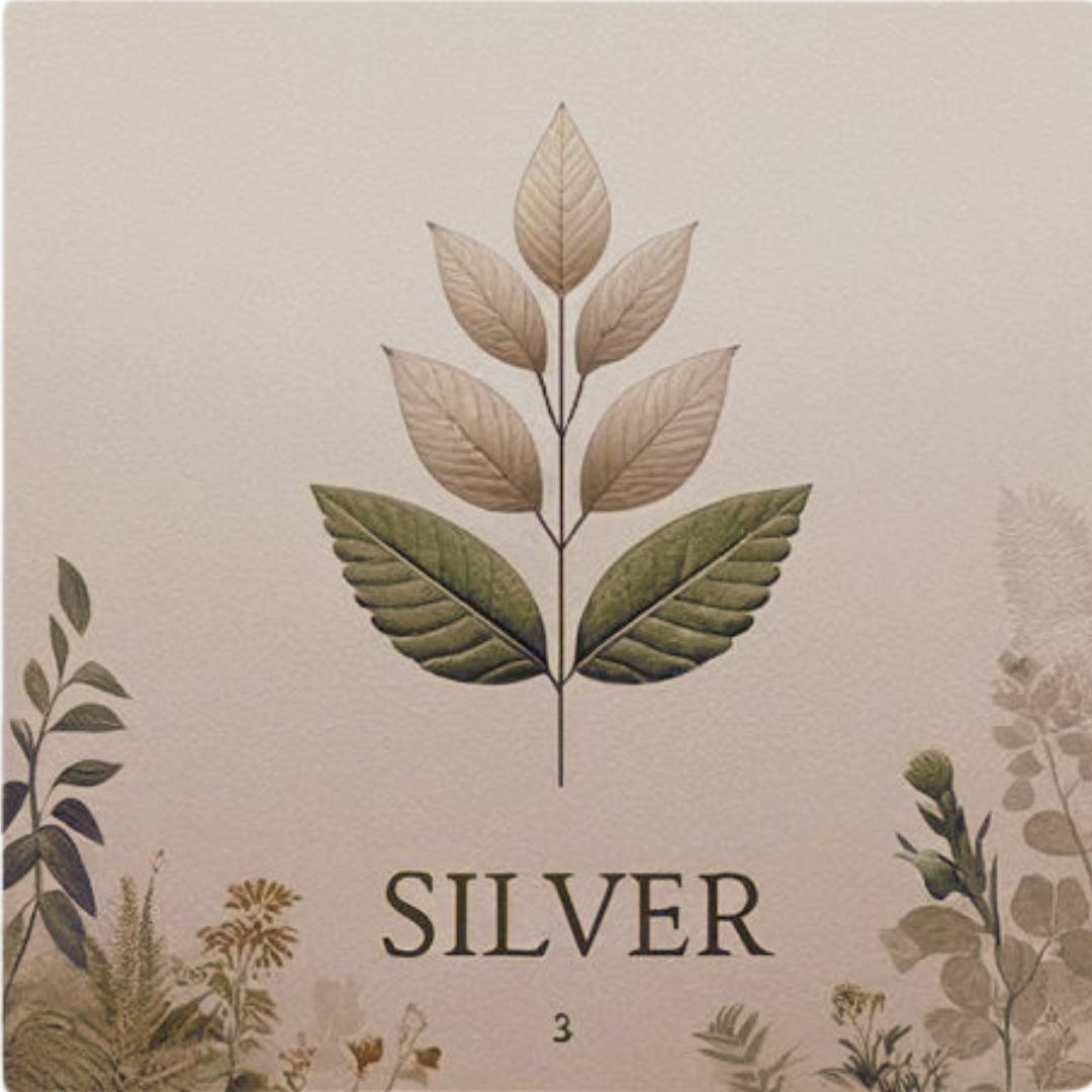 Top up Silver