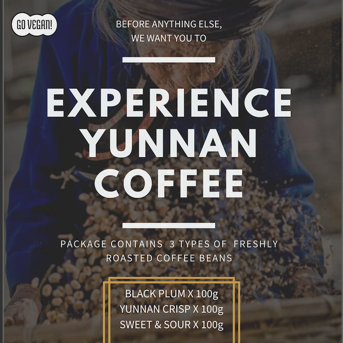 Yunnan Bundle