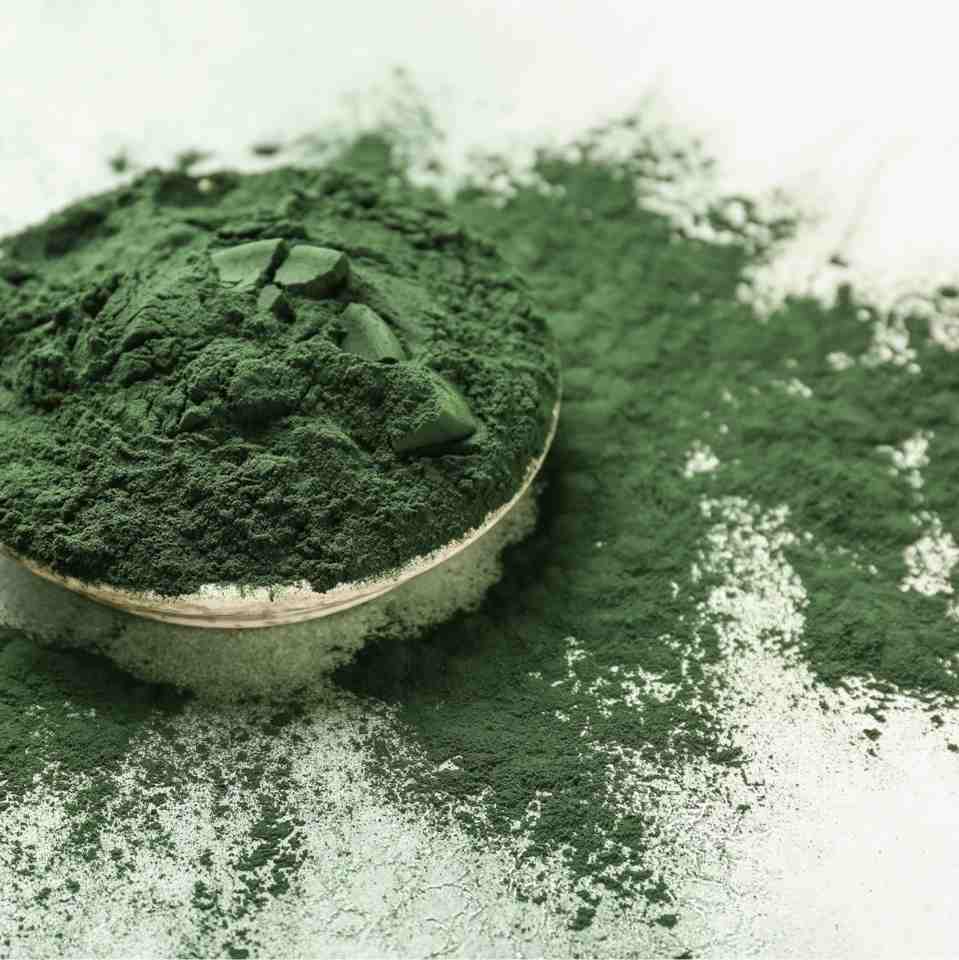 Chlorella Powder